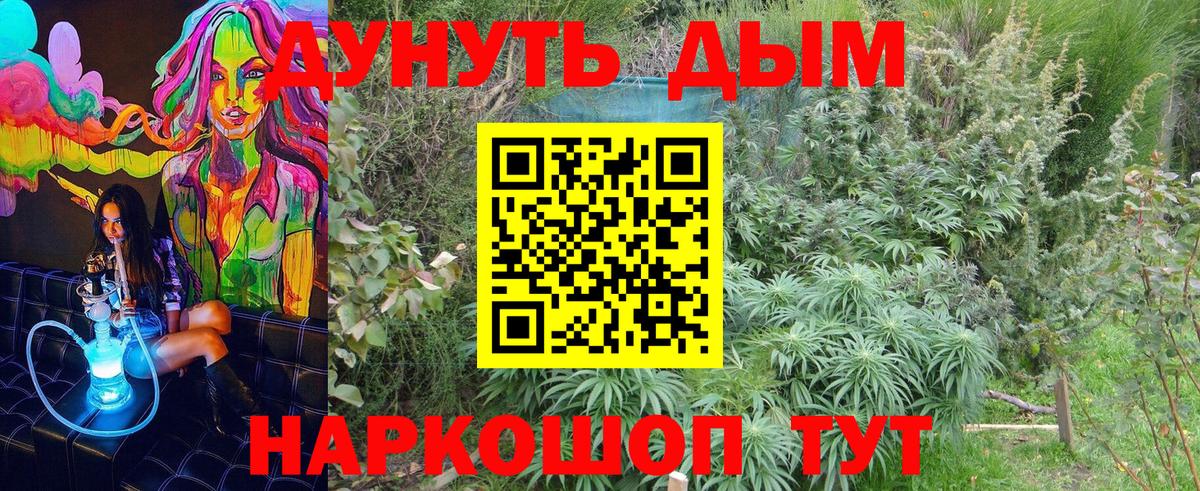Марихуана гибрид  Шишки марихуана планчик  Нарткала  Вход с VPN  Бошки Шишки тримм 